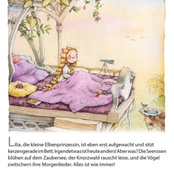 Maxi Pixi 478: Lilia, die kleine Elbenprinzessin: Die geheimnisvolle Zauberkugel