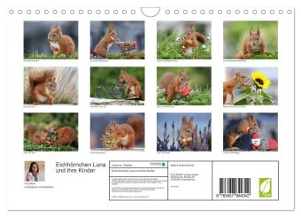 Eichhörnchen Luna und ihre Kinder (Wandkalender 2026 DIN A4 quer), CALVENDO Monatskalender