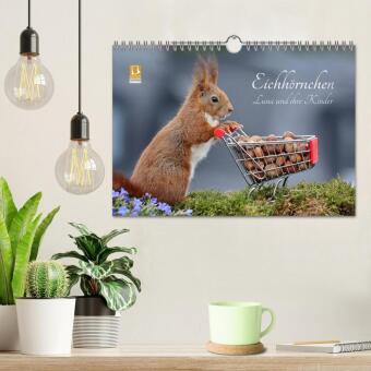 Eichhörnchen Luna und ihre Kinder (Wandkalender 2026 DIN A4 quer), CALVENDO Monatskalender