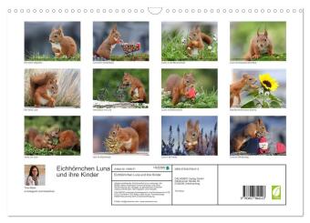 Eichhörnchen Luna und ihre Kinder (Wandkalender 2026 DIN A3 quer), CALVENDO Monatskalender