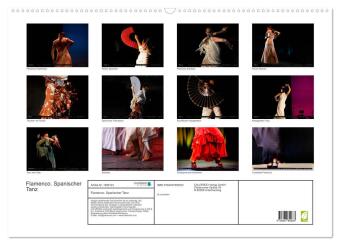 Flamenco. Spanischer Tanz (Wandkalender 2026 DIN A2 quer), CALVENDO Monatskalender