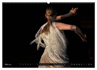 Flamenco. Spanischer Tanz (Wandkalender 2026 DIN A2 quer), CALVENDO Monatskalender