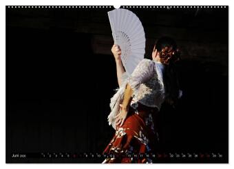 Flamenco. Spanischer Tanz (Wandkalender 2026 DIN A2 quer), CALVENDO Monatskalender