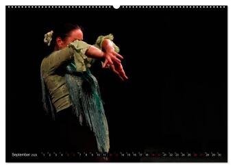 Flamenco. Spanischer Tanz (Wandkalender 2026 DIN A2 quer), CALVENDO Monatskalender