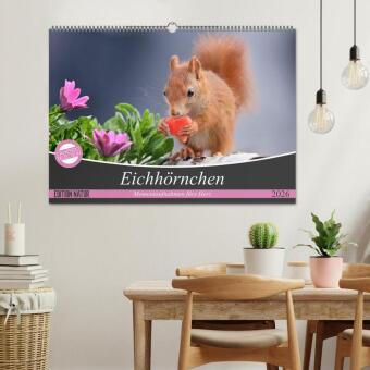 Eichhörnchen Momentaufnahmen fürs Herz (Wandkalender 2026 DIN A2 quer), CALVENDO Monatskalender