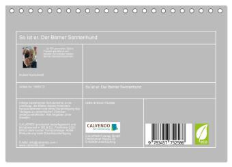 So ist er. Der Berner Sennenhund (Tischkalender 2026 DIN A5 quer), CALVENDO Monatskalender