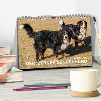 So ist er. Der Berner Sennenhund (Tischkalender 2026 DIN A5 quer), CALVENDO Monatskalender