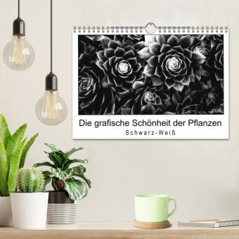 Die grafische Schönheit der Pflanzen - Schwarz-Weiß (Wandkalender 2026 DIN A4 quer), CALVENDO Monatskalender