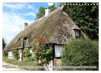 Impressionen von der Schlei - Deutschlands einzigem Fjord (Wandkalender 2026 DIN A4 quer), CALVENDO Monatskalender