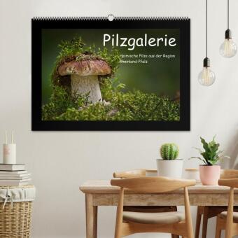 Pilzgalerie - Heimische Pilze aus der Region Rheinland-Pfalz (Wandkalender 2026 DIN A2 quer), CALVENDO Monatskalender