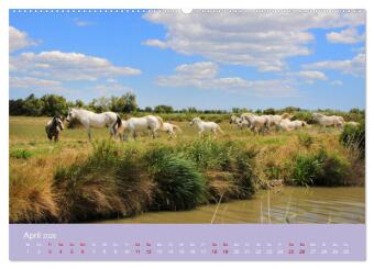 Die Farben der Provence... und der Duft des Lavendels... (Wandkalender 2026 DIN A2 quer), CALVENDO Monatskalender