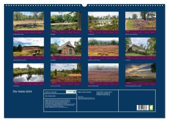 Die Heide blüht (Wandkalender 2026 DIN A2 quer), CALVENDO Monatskalender