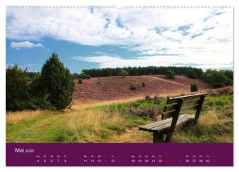 Die Heide blüht (Wandkalender 2026 DIN A2 quer), CALVENDO Monatskalender