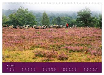 Die Heide blüht (Wandkalender 2026 DIN A2 quer), CALVENDO Monatskalender