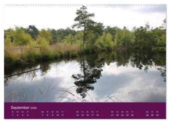Die Heide blüht (Wandkalender 2026 DIN A2 quer), CALVENDO Monatskalender