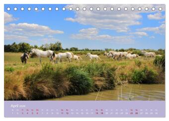 Die Farben der Provence... und der Duft des Lavendels... (Tischkalender 2026 DIN A5 quer), CALVENDO Monatskalender