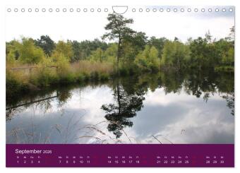 Die Heide blüht (Wandkalender 2026 DIN A4 quer), CALVENDO Monatskalender