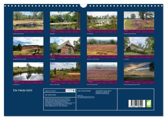 Die Heide blüht (Wandkalender 2026 DIN A3 quer), CALVENDO Monatskalender