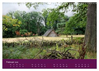 Die Heide blüht (Wandkalender 2026 DIN A3 quer), CALVENDO Monatskalender