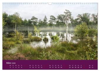 Die Heide blüht (Wandkalender 2026 DIN A3 quer), CALVENDO Monatskalender