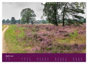 Die Heide blüht (Wandkalender 2026 DIN A3 quer), CALVENDO Monatskalender