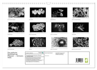 Die grafische Schönheit der Pflanzen - Schwarz-Weiß (Wandkalender 2026 DIN A3 quer), CALVENDO Monatskalender