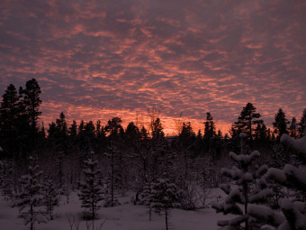 Weihnachtszeit in Lappland