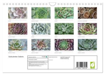 Sukkulenten Galerie (Wandkalender 2026 DIN A4 quer), CALVENDO Monatskalender