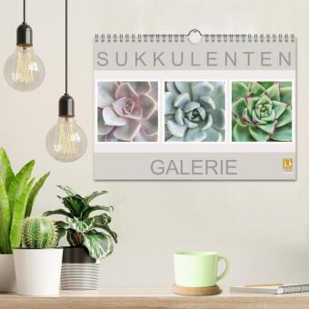 Sukkulenten Galerie (Wandkalender 2026 DIN A4 quer), CALVENDO Monatskalender