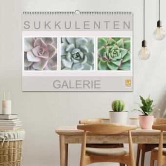 Sukkulenten Galerie (Wandkalender 2026 DIN A2 quer), CALVENDO Monatskalender