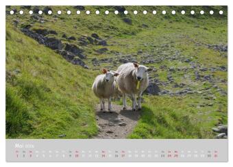 Ganz schön Schaf (Tischkalender 2026 DIN A5 quer), CALVENDO Monatskalender