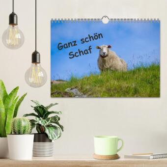 Ganz schön Schaf (Wandkalender 2026 DIN A4 quer), CALVENDO Monatskalender