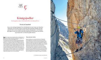 Die ultimativen Klettersteige in den Alpen 