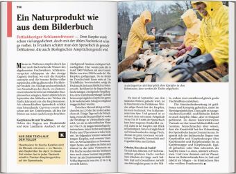 DUMONT Reise-Taschenbuch Reiseführer Franken