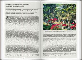 DUMONT Reise-Handbuch Reiseführer Mauritius