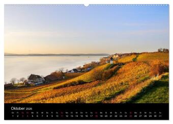 Bodensee - Uferlandschaften im schönsten Licht 2026 (hochwertiger Premium Wandkalender 2026 DIN A2 quer), Kunstdruck in Hochglanz