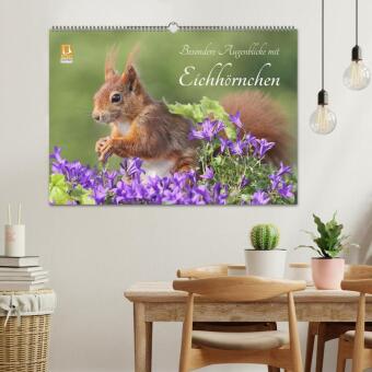 Besondere Augenblicke mit Eichhörnchen (Wandkalender 2026 DIN A2 quer), CALVENDO Monatskalender