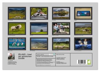 IRLAND - Insel der glücklichen Schafe (hochwertiger Premium Wandkalender 2026 DIN A2 quer), Kunstdruck in Hochglanz