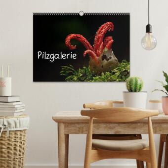 Pilzgalerie (Wandkalender 2026 DIN A3 quer), CALVENDO Monatskalender