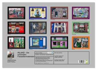 IRLAND - Die schönsten Fassadenmalereien (Wandkalender 2026 DIN A2 quer), CALVENDO Monatskalender