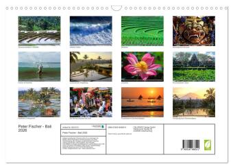 Peter Fischer - Bali 2026 (Wandkalender 2026 DIN A3 quer), CALVENDO Monatskalender