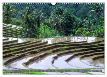 Peter Fischer - Bali 2026 (Wandkalender 2026 DIN A3 quer), CALVENDO Monatskalender
