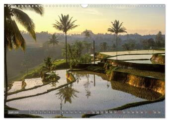 Peter Fischer - Bali 2026 (Wandkalender 2026 DIN A3 quer), CALVENDO Monatskalender