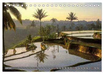 Peter Fischer - Bali 2026 (Tischkalender 2026 DIN A5 quer), CALVENDO Monatskalender