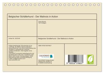 Belgischer Schäferhund - Der Malinois in Action (Tischkalender 2026 DIN A5 quer), CALVENDO Monatskalender