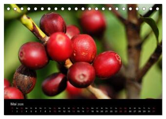 Zu Besuch beim Kaffee (Tischkalender 2026 DIN A5 quer), CALVENDO Monatskalender