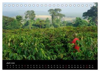 Zu Besuch beim Kaffee (Tischkalender 2026 DIN A5 quer), CALVENDO Monatskalender