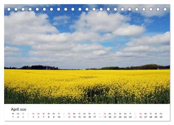 Dänemark - Unterwegs in Jütland (Tischkalender 2026 DIN A5 quer), CALVENDO Monatskalender