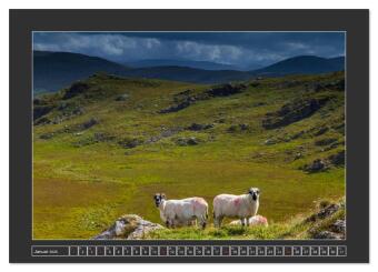 IRLAND - Insel der glücklichen Schafe (Wandkalender 2026 DIN A3 quer), CALVENDO Monatskalender