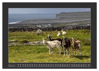 IRLAND - Insel der glücklichen Schafe (Wandkalender 2026 DIN A3 quer), CALVENDO Monatskalender